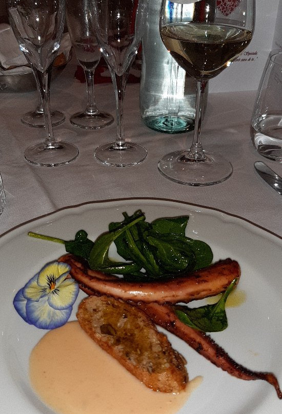 帕克伊马可拉塔别墅酒店主图