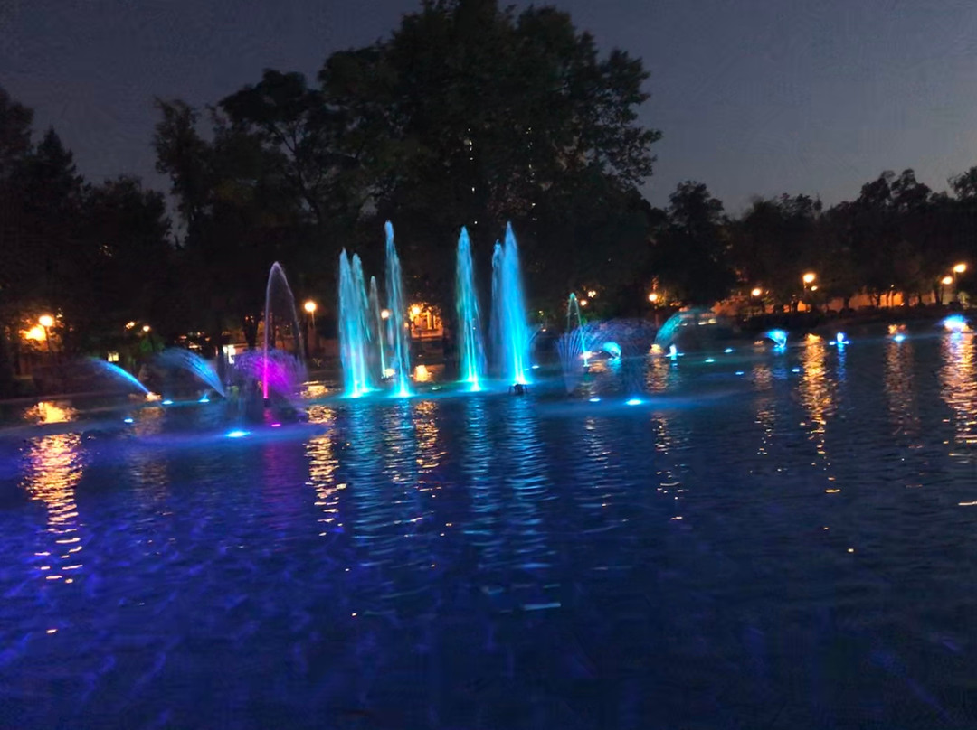 Singing Fountains-普罗夫迪夫必去景点