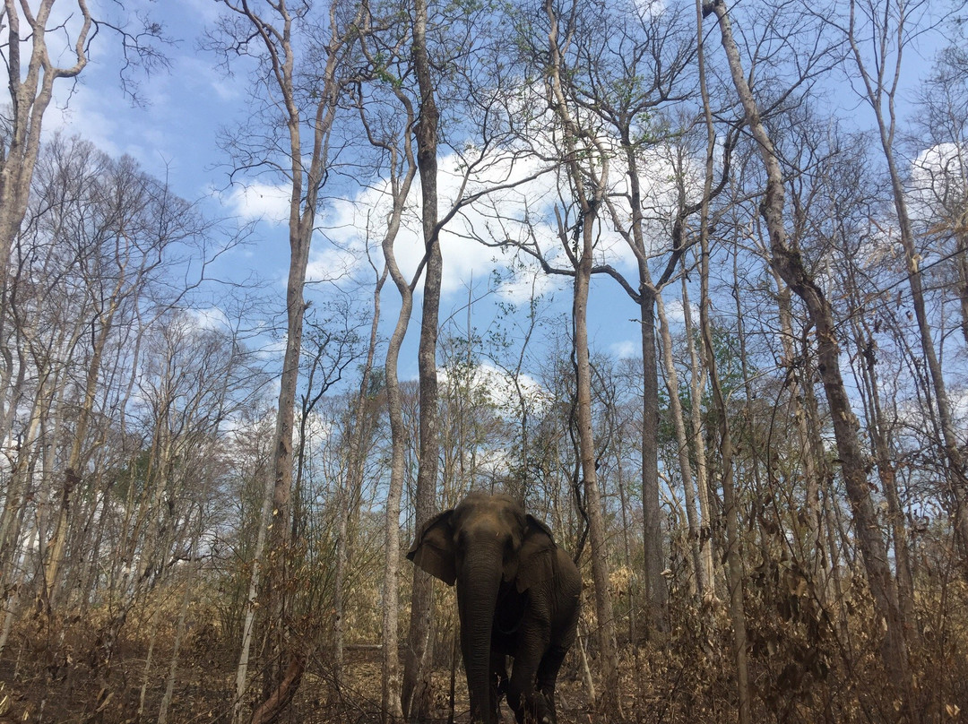 Mondulkiri Tour Guide景点图片