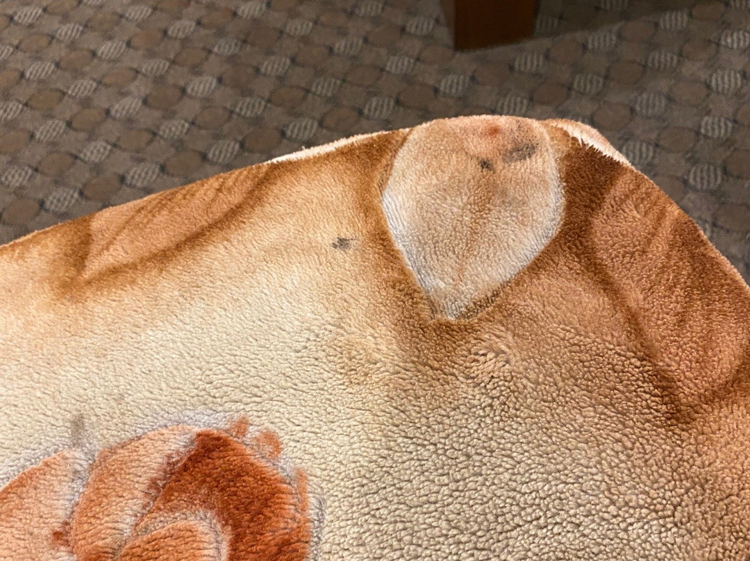 Lords Inn Hotel主图