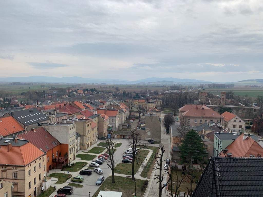 Ruins of Ducal Castle in Zabkowice Slaskie景点图片
