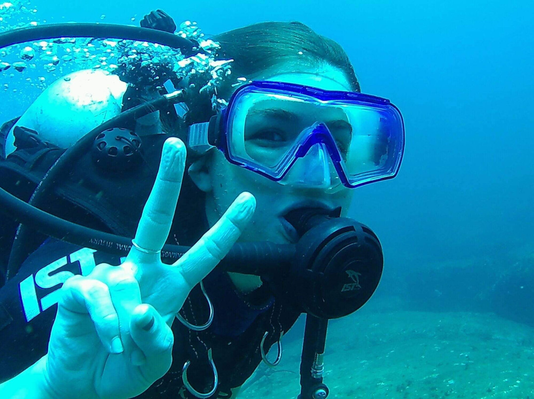 Diving Tours Mirissa景点图片