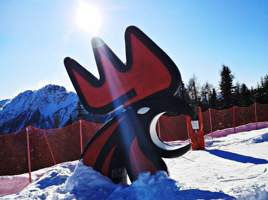 Kronplatz Ski Fields景点图片