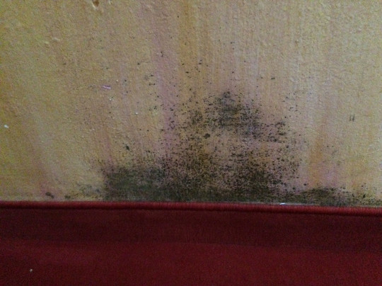 Vitaloase zu den Drei Brudern主图