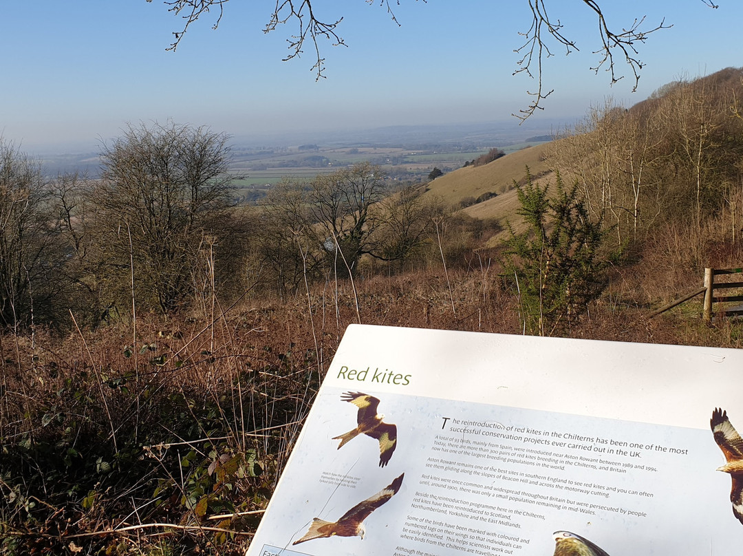 Aston Rowant Discovery Trail景点图片
