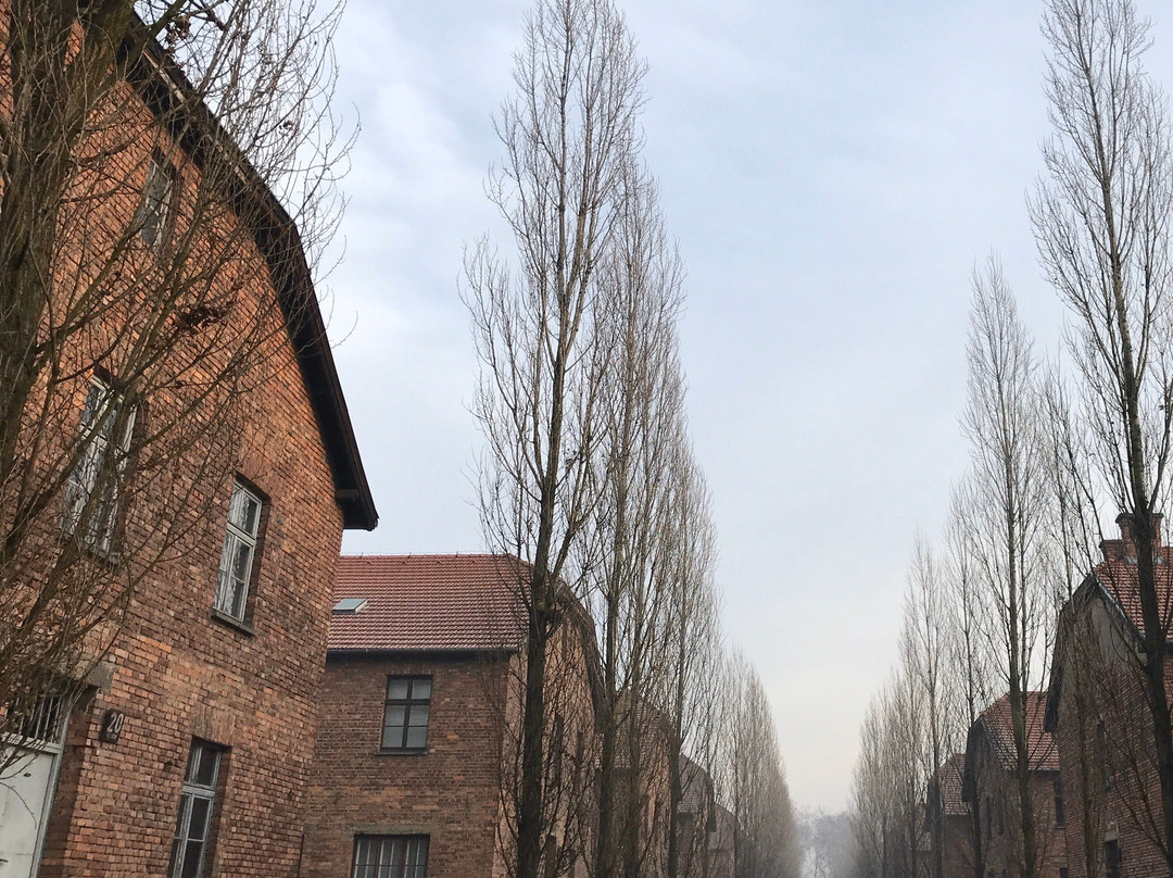 Krakow Tour Time - Tours-克拉科夫必去景点