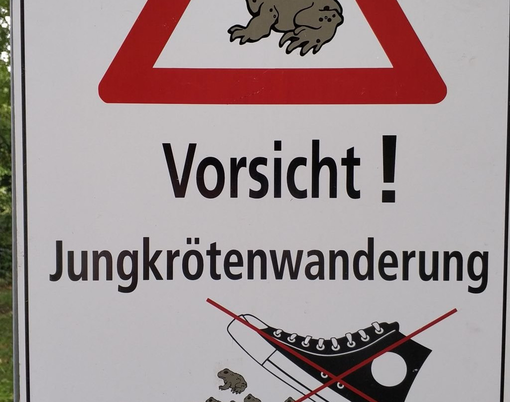 Schlossgarten景点图片