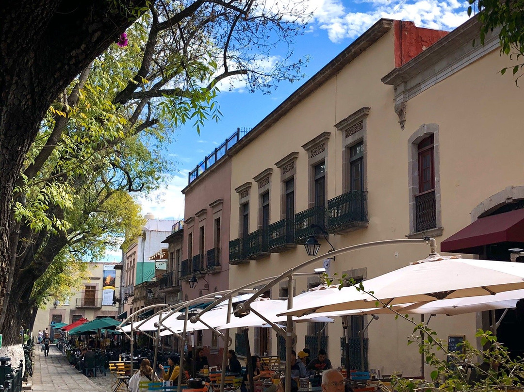 玫瑰花园-莫雷利亚必去景点