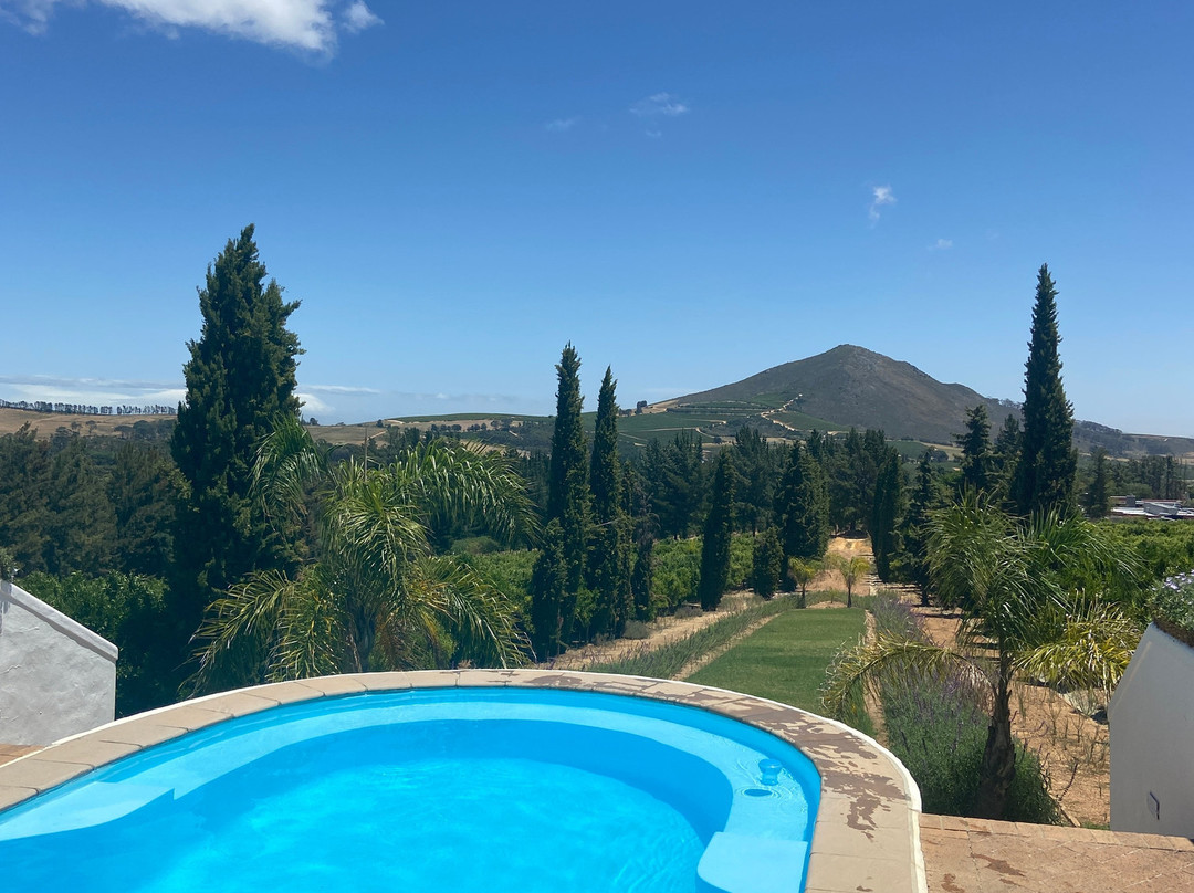 Marianne Wine Estate Guesthouse主图