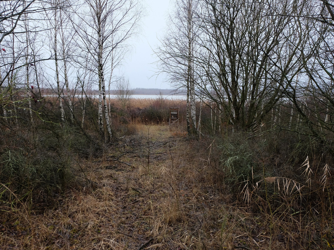 Europäisches Vogelreservat Heerter See-萨尔茨基特必去景点