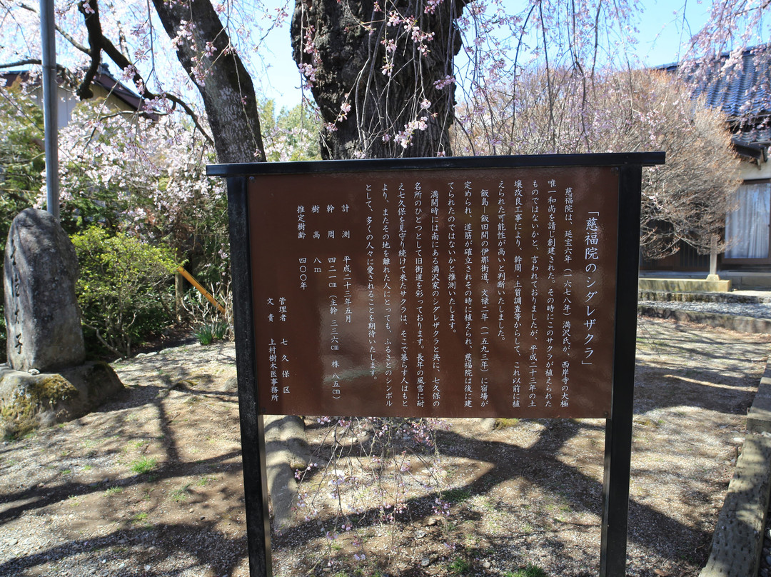 Fukuji Zenin Temple景点图片