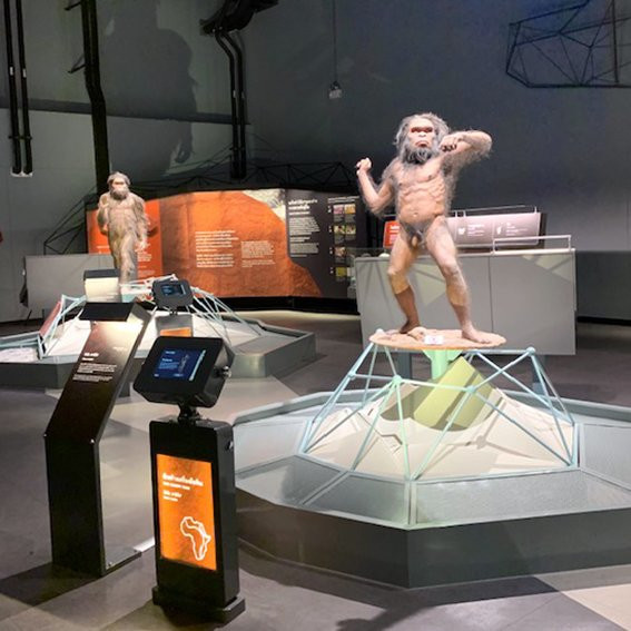 Rama 9 Museum-空銮必去景点