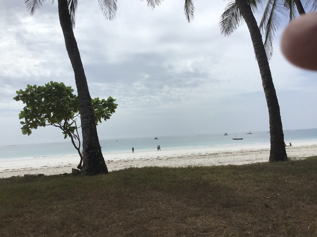 Alliance Safari Beach Hotel主图