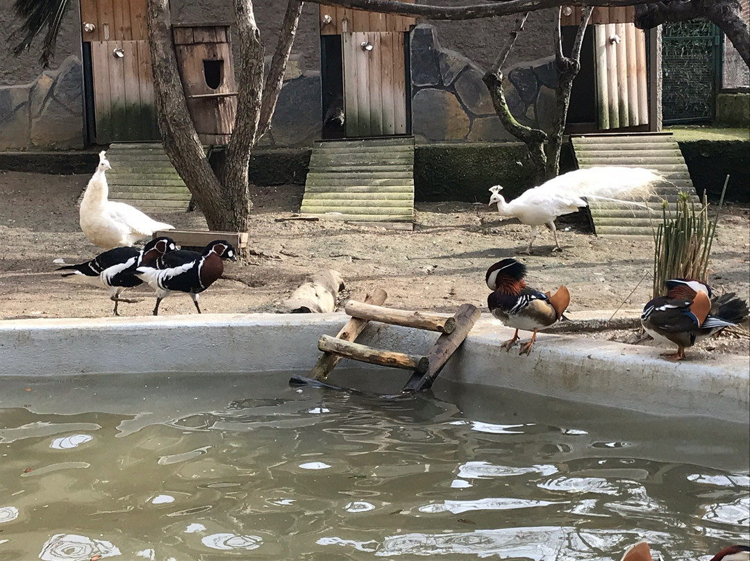 Faruk Yalçın Zoo景点图片