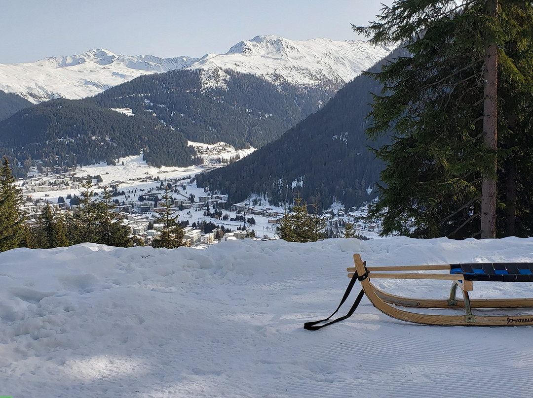 Summer Toboggan Run Schatzalp-达沃斯必去景点