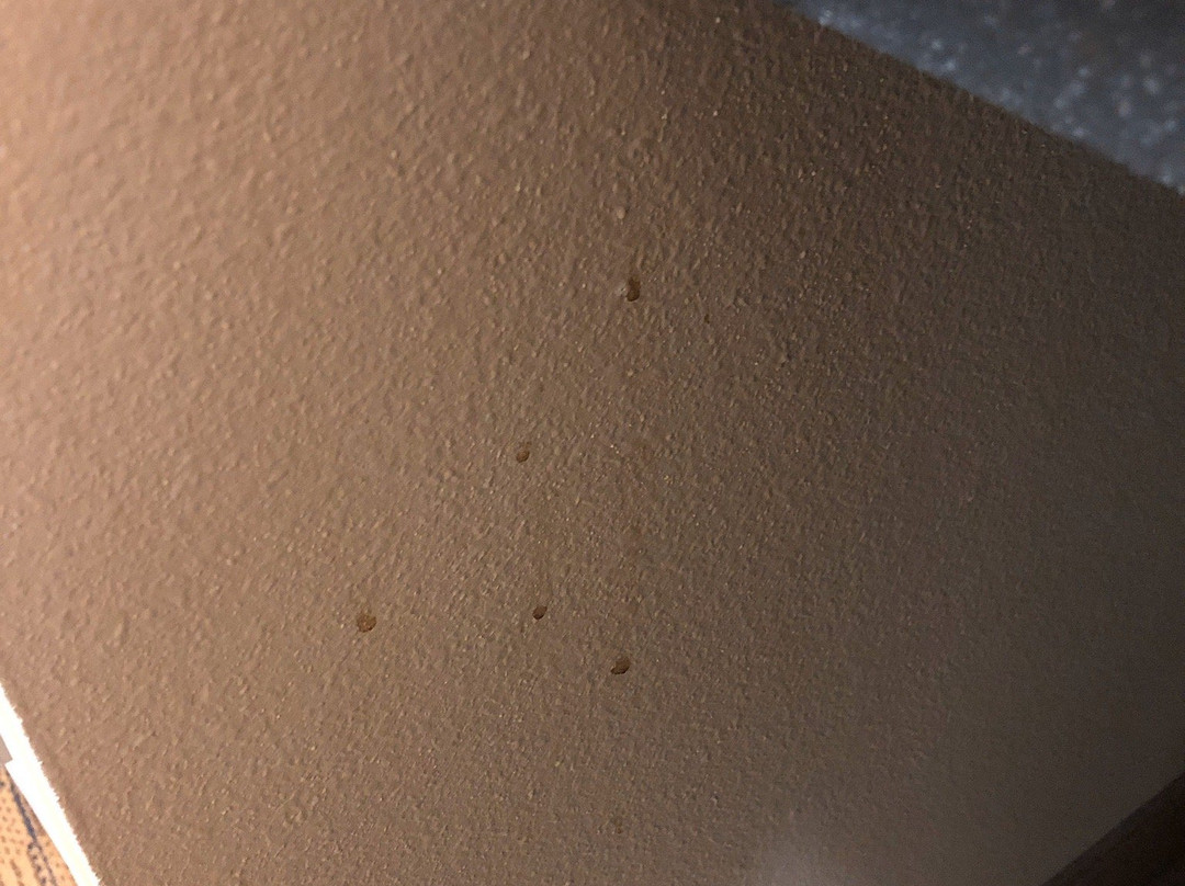 Holiday Inn Madison At The American Center By IHG主图