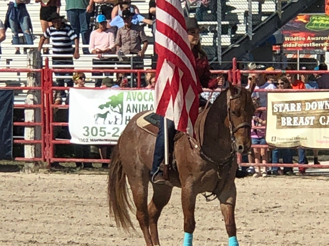 Harris Field Park-霍姆斯特德必去景点