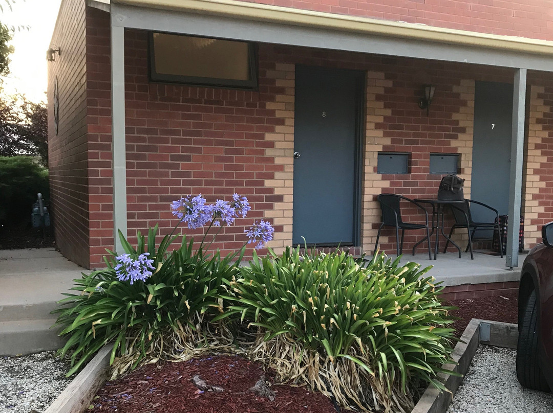 Comfort Inn Coach & Bushmans主图