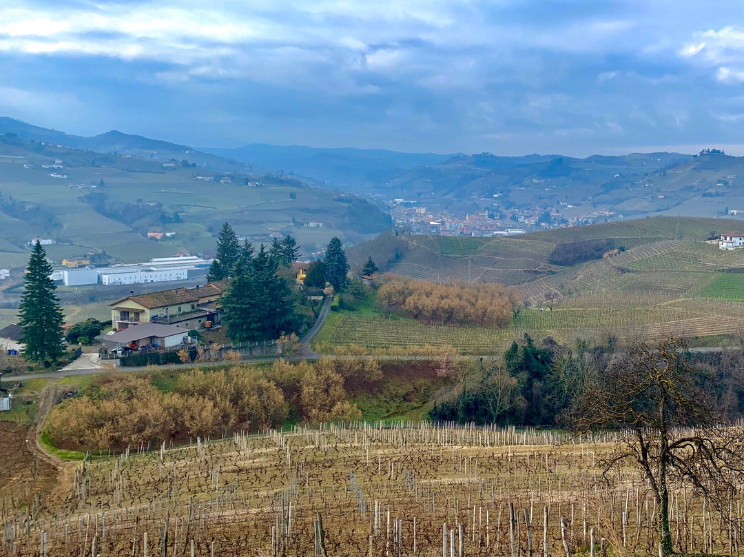 Tojo Winery景点图片