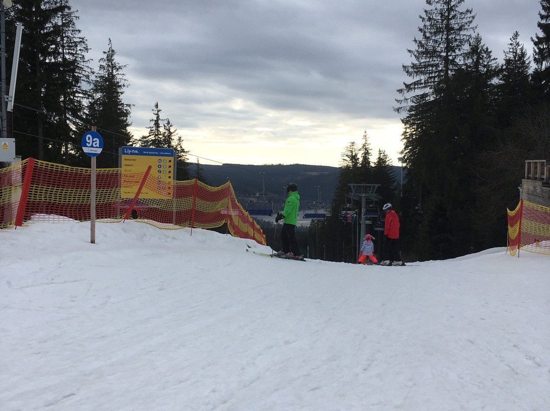 Ski Areal Lipno nad Vltavou景点图片