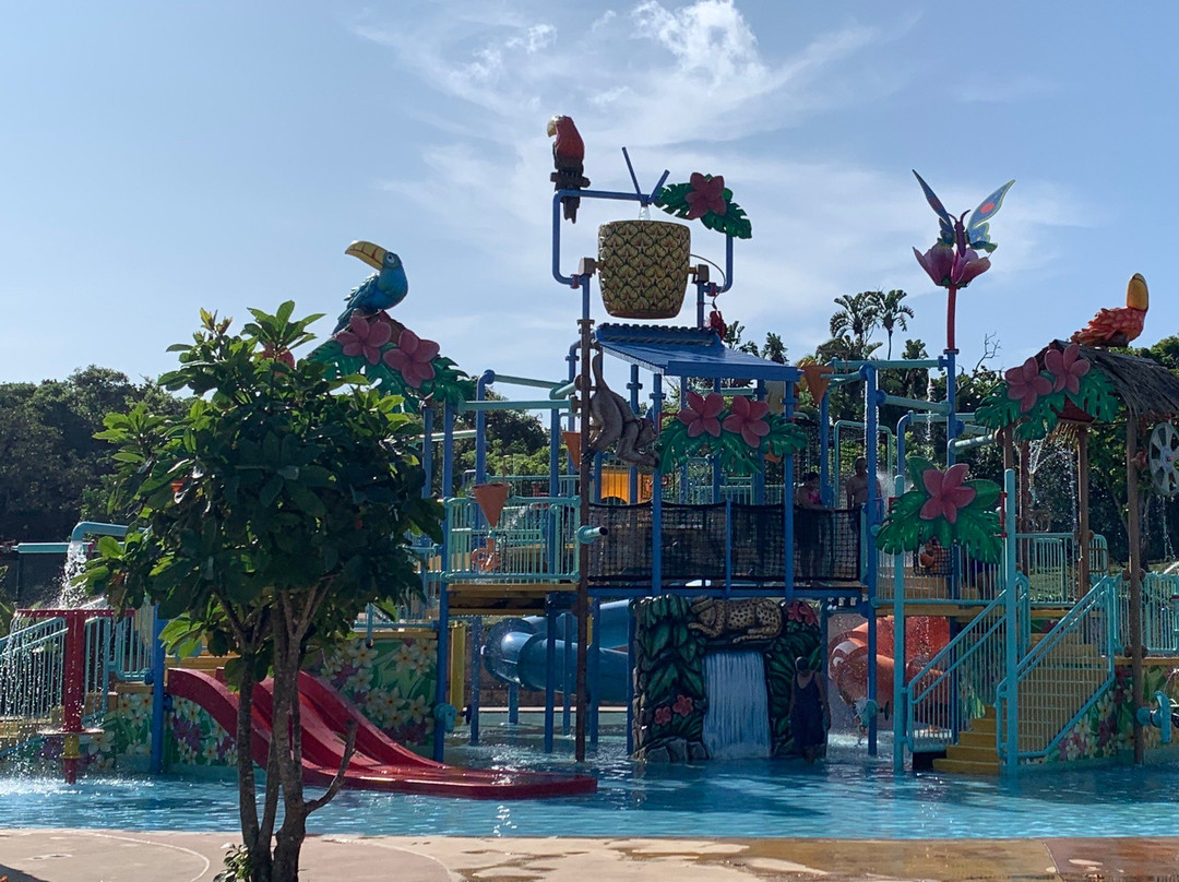 Wild Waves Water Park景点图片