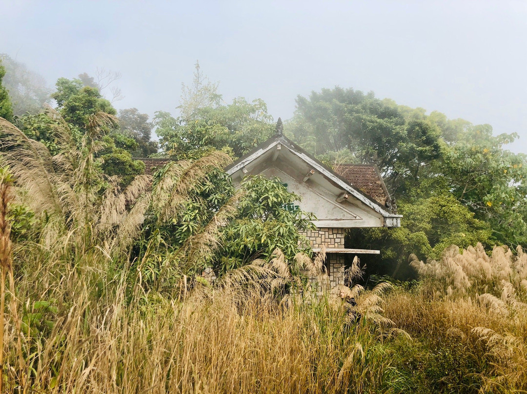 Bokor National Park景点图片