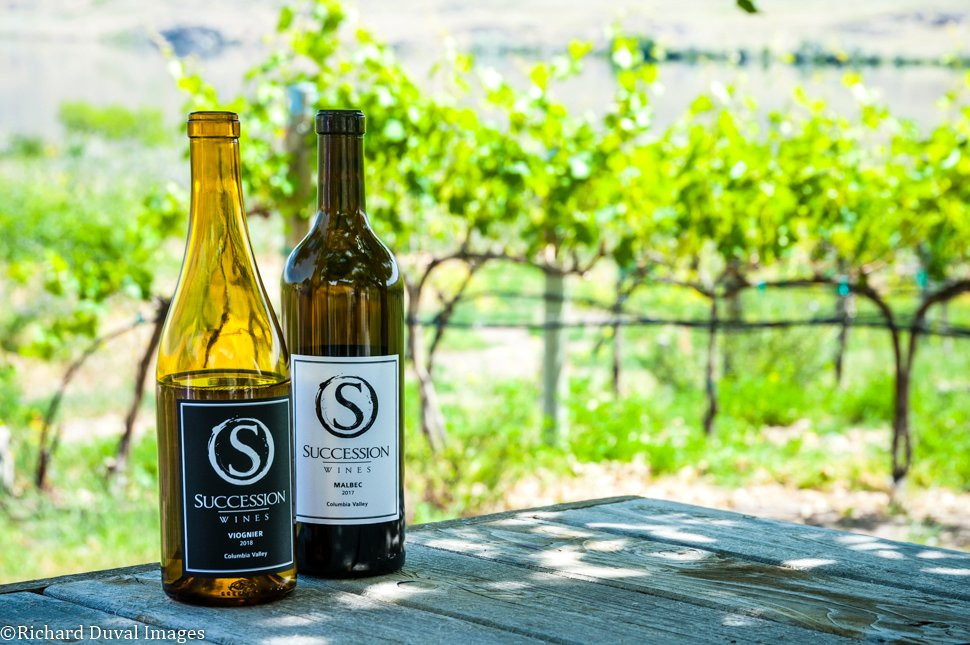 Succession Wines景点图片