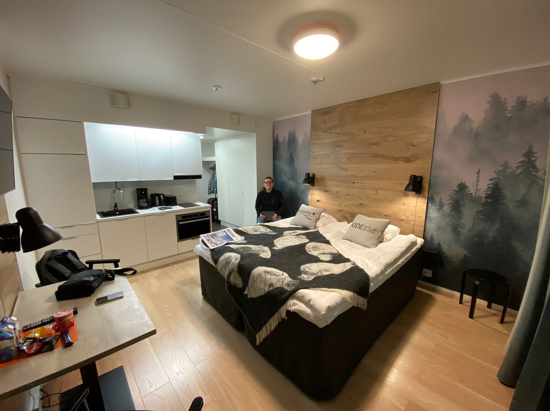 Ranua酒店住宿-Kide Hotel by Iso-Syote