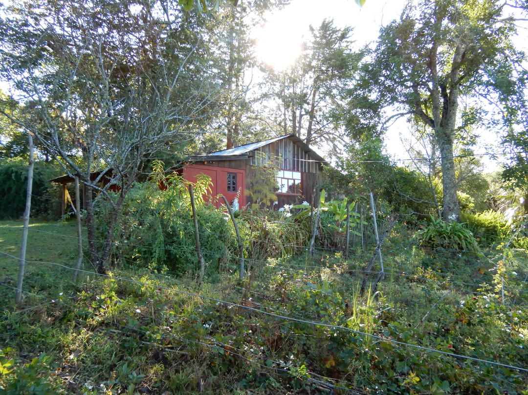 El Rancho Evergreen Guest Ranch-圣克里斯托瓦尔-德拉斯卡萨斯必去景点