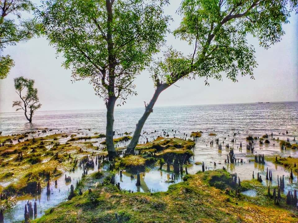 Guliakhali Sea Beach景点图片