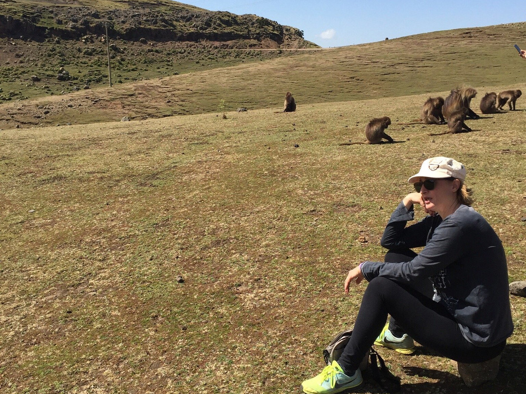 Simien Mountain Trekking and Tours景点图片