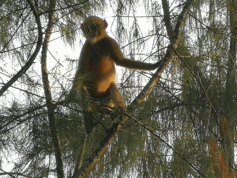 Shantidham Cafe主图