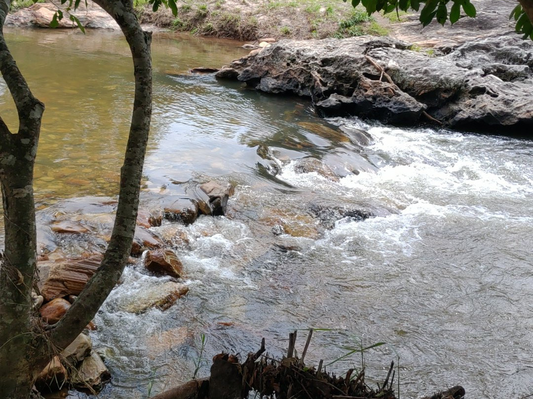 Cachoeira das Araras景点图片