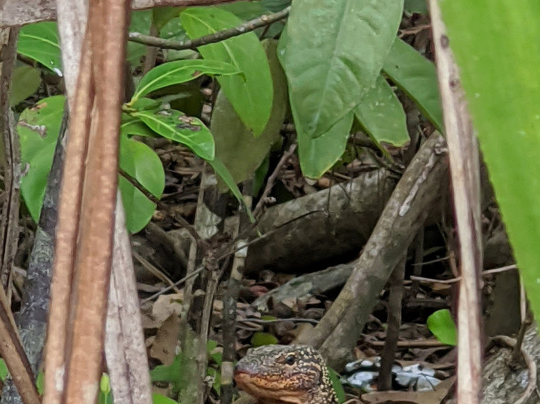 拉贾安帕特群岛-索龙必去景点