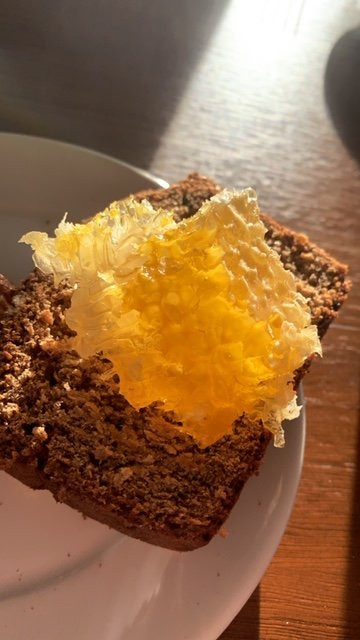 Garryvoe Hotel主图