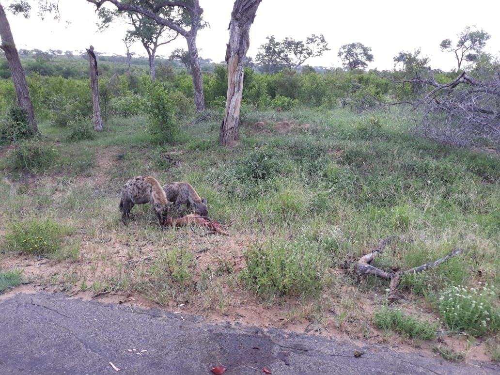 Dawn to Dusk Safaris-雾观必去景点