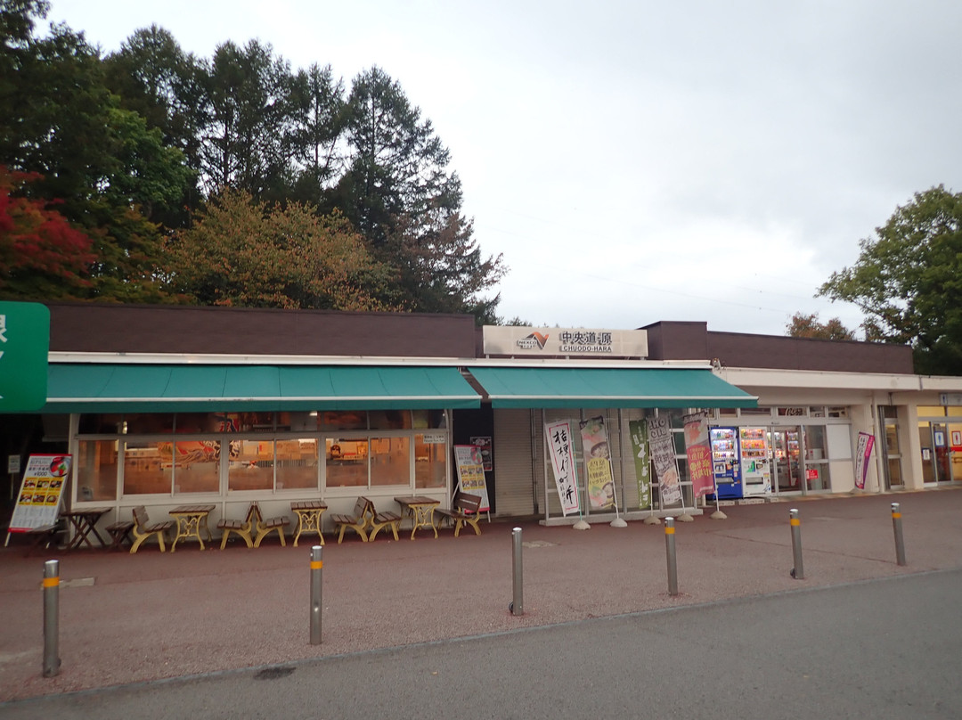 Chuodohara Parking Area Outbound-原村必去景点