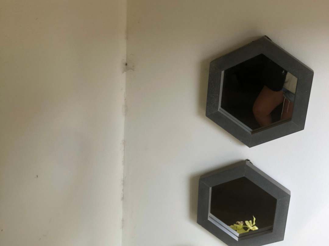 依鲁卡汽车旅馆暨餐厅主图