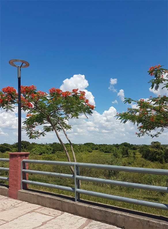 Costanera de Formosa景点图片