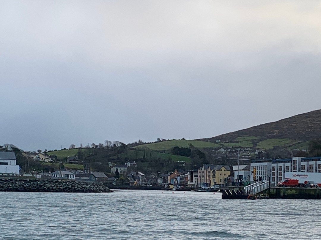 Whiddy Island Ferry-Bantry必去景点