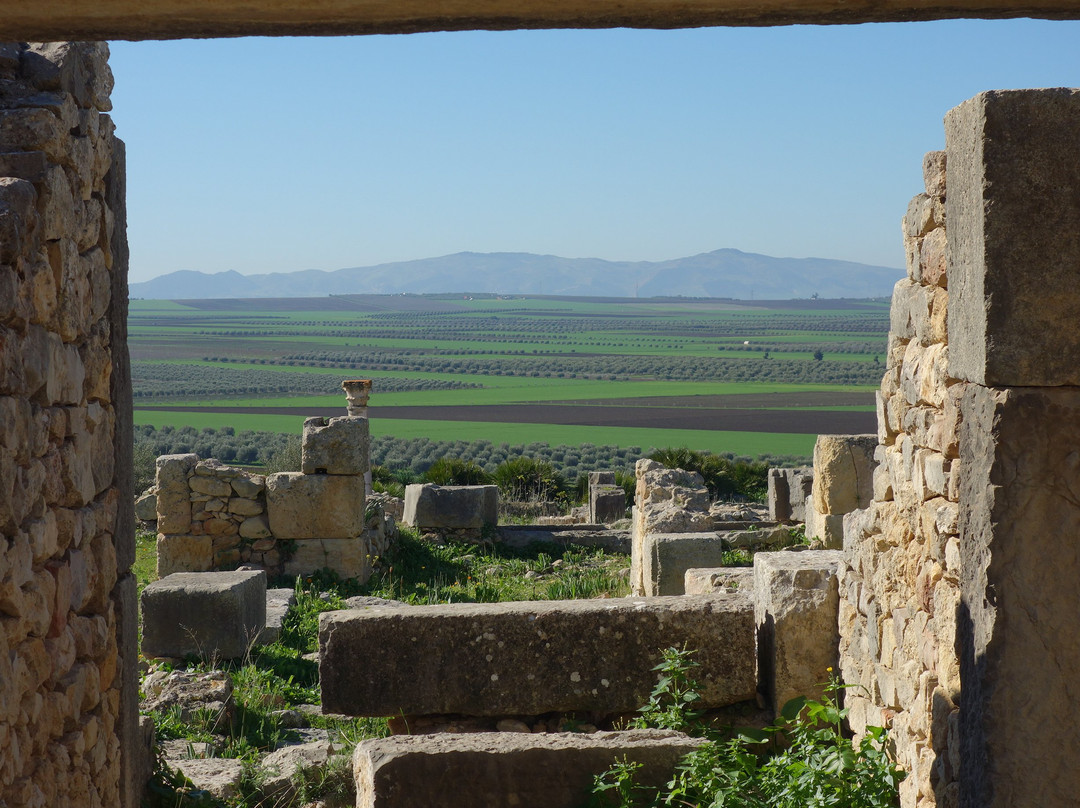 Peaceful Morocco Travel-非斯必去景点