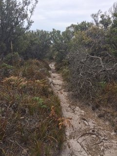 St Helens Point Conservation Area景点图片