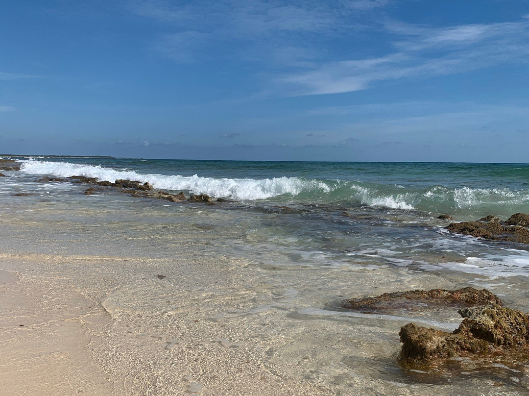 Playa Mezcalitos景点图片