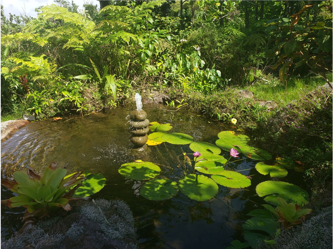 Trois Piton Apartments主图