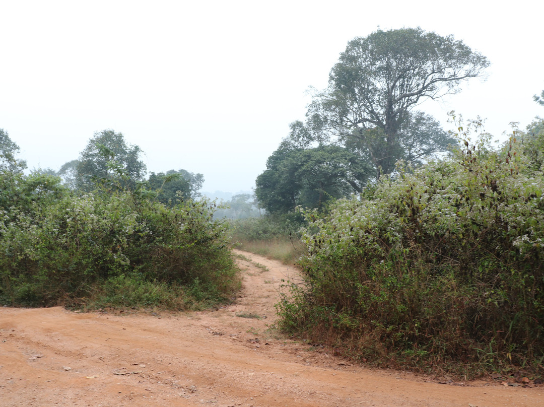 Eco Valley Retreat主图