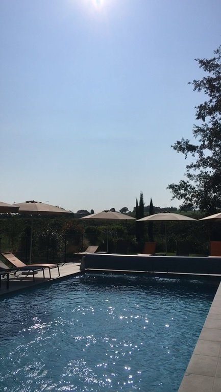 Ibis St Genis Pouilly Geneve-泳池
