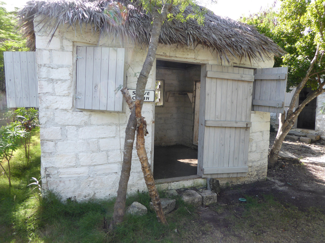 Cheshire Hall Plantation-普罗维登西亚莱斯必去景点