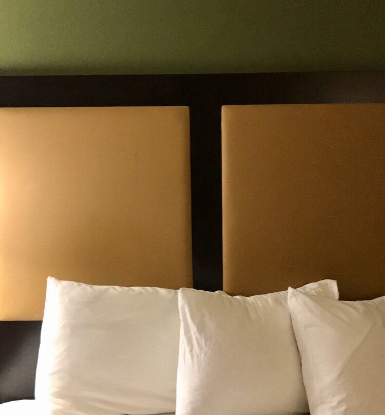 Extended Stay America - Washington, D.C. - Chantilly - Dulles South主图