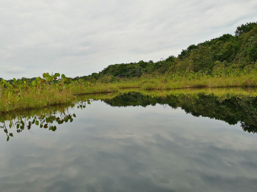 Yasuní Lodge Tours-Coca必去景点