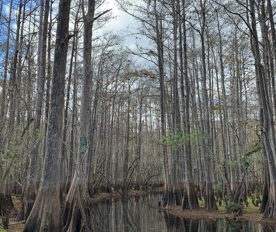 Old Fashioned Airboat Rides-Christmas必去景点